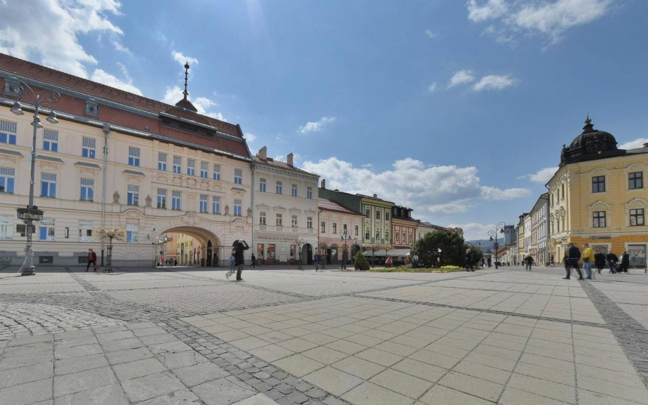 Big 75M2 Next To Opera Building In Direct Centrum, Air-Conditioned, Balcony, 24H Self Checking Bańska Bystrzyca Zewnętrze zdjęcie